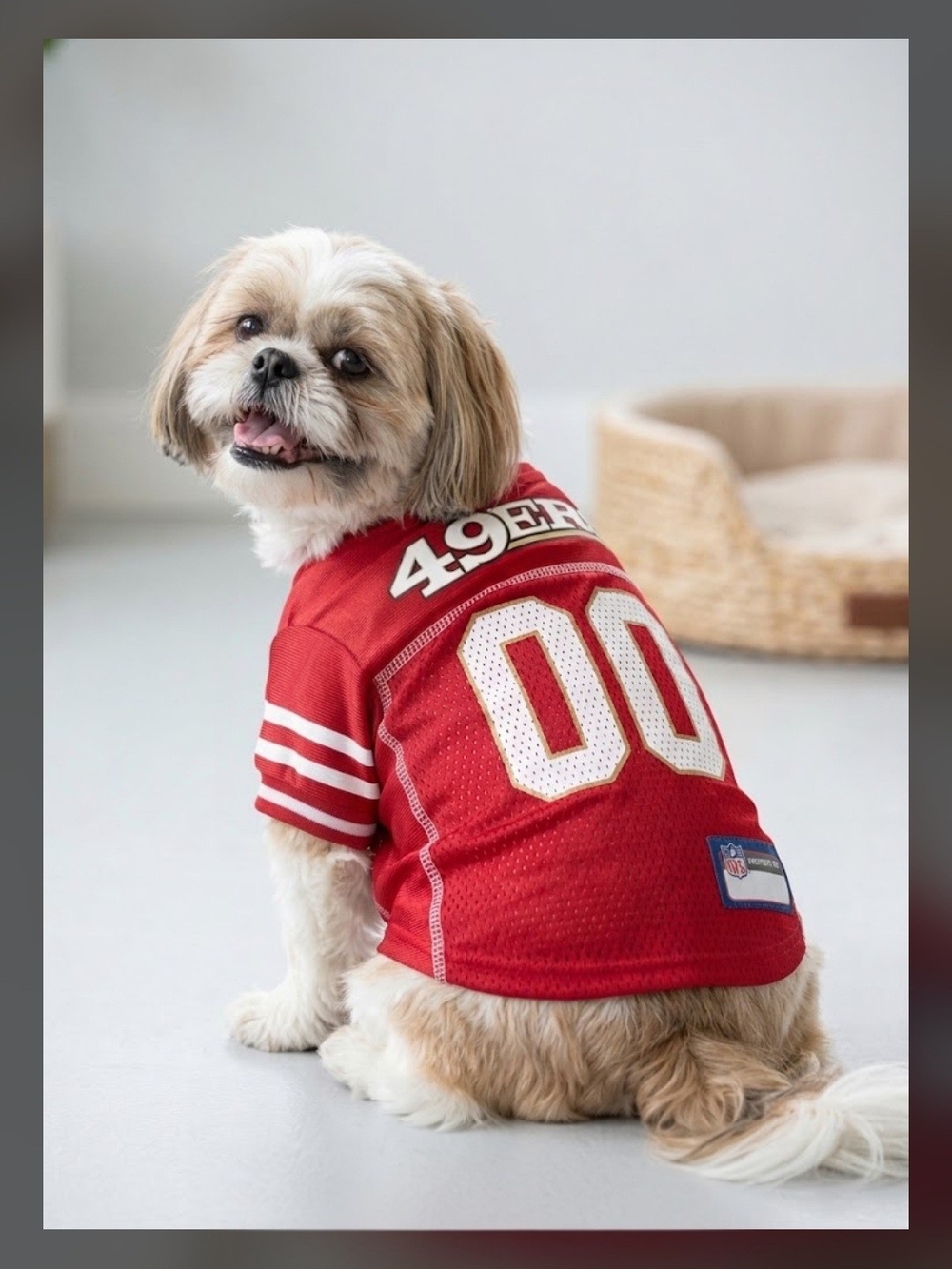 San Franscisco 49ers Pet Jersey and Ladies Man Pet Tee - Size Small